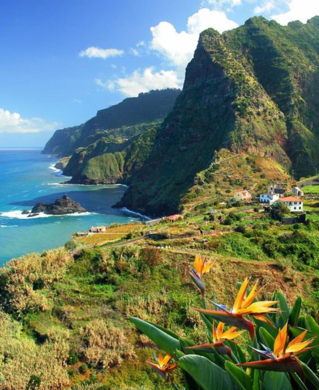 Pana House Apartment Calheta  Bagian luar foto