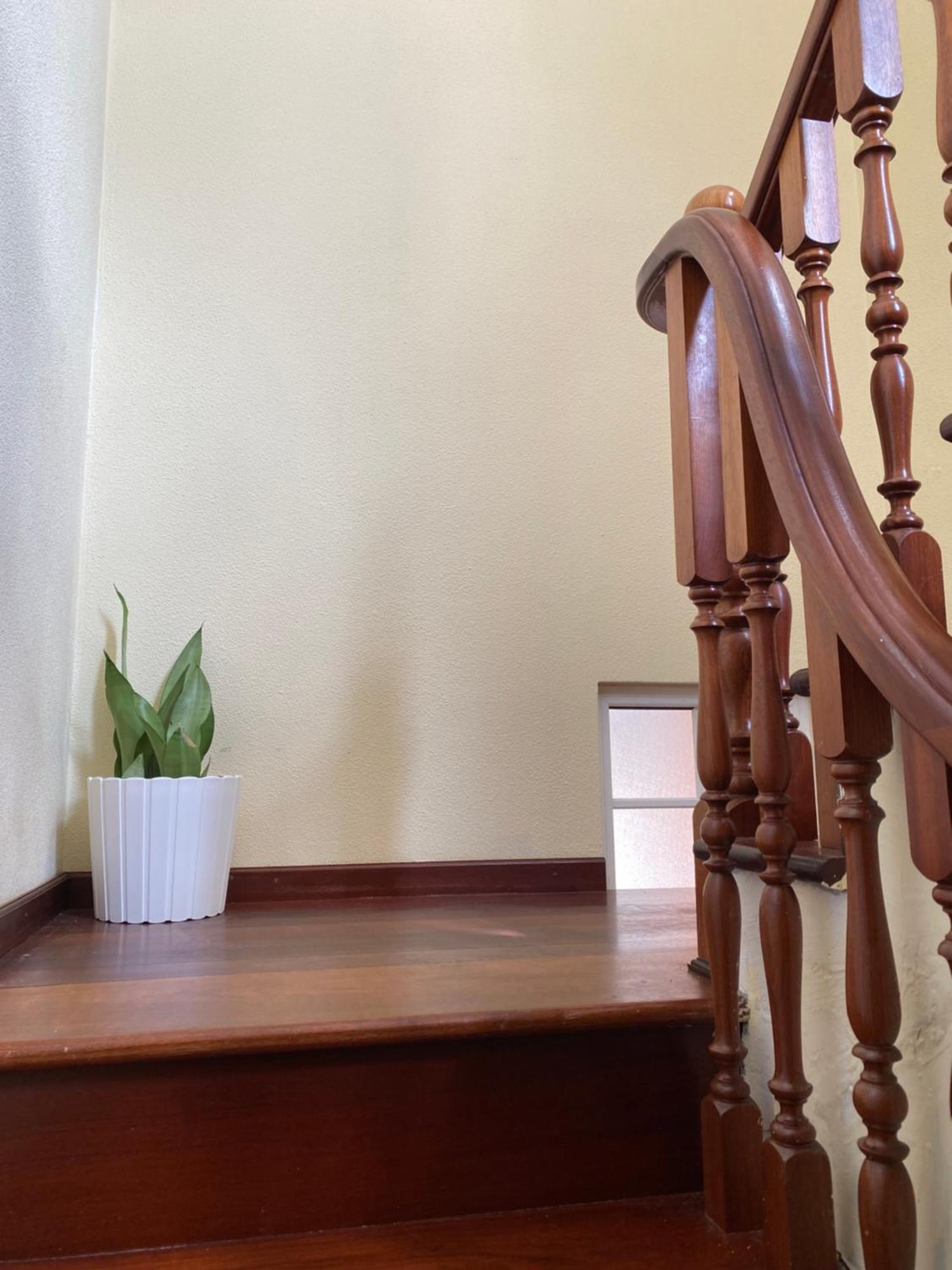 Pana House Apartment Calheta  Bagian luar foto