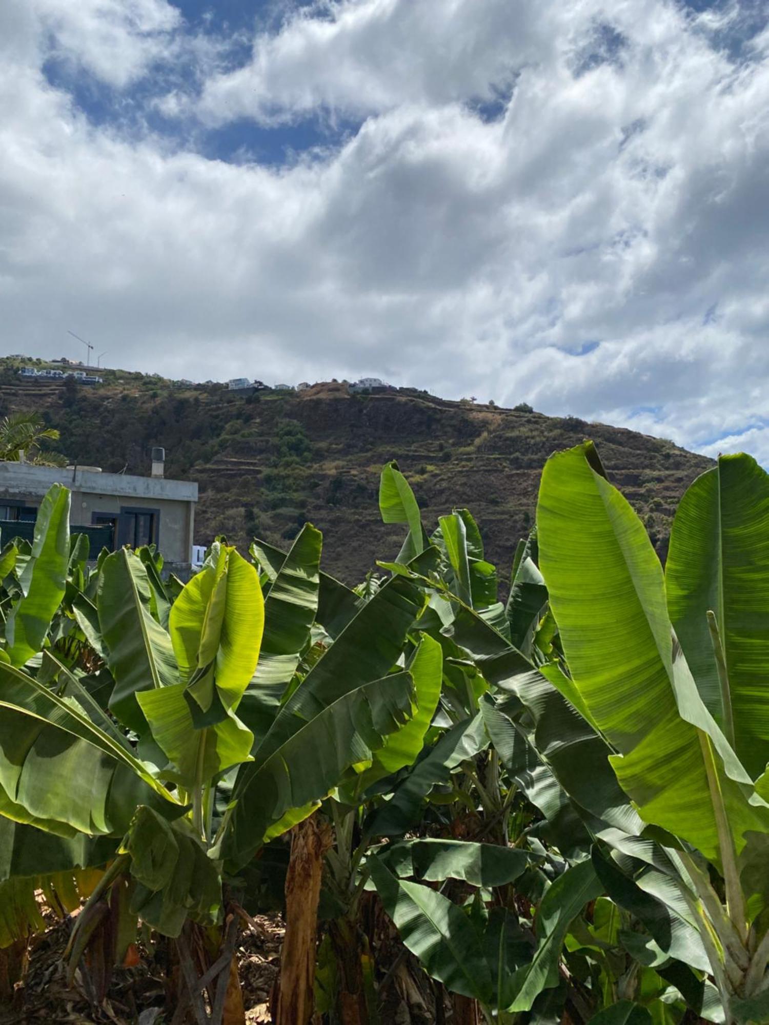 Pana House Apartment Calheta  Bagian luar foto
