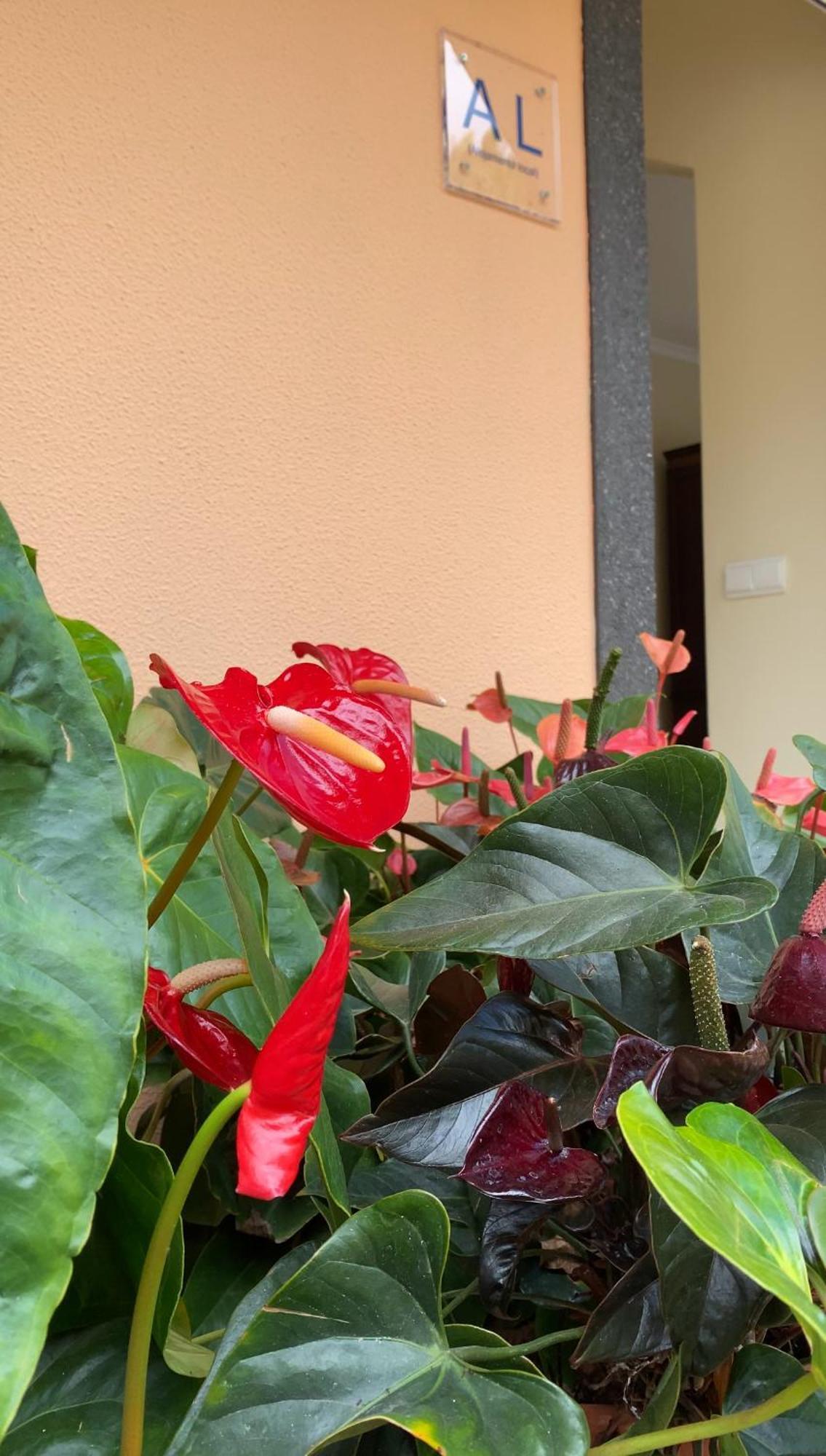 Pana House Apartment Calheta  Bagian luar foto